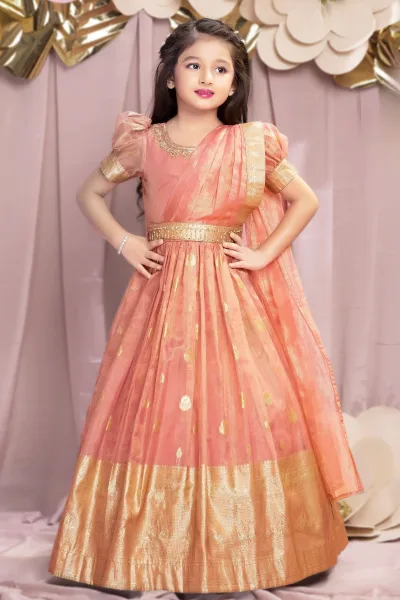 Onion Pink Zari, Zardozi, Sequins, Stone and Thread work Long Party Gown